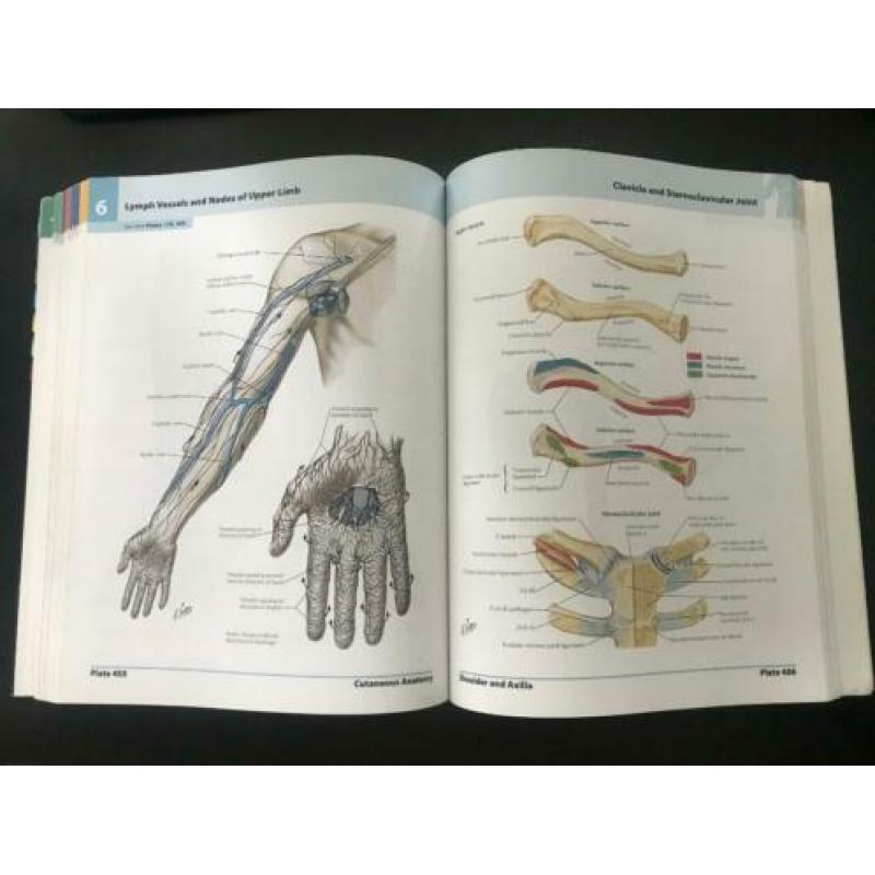 Atlas of human anatomy Netter 5de editie