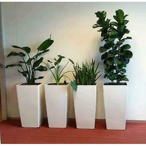 6x Bloempot met evt Hydro cultuur Planten