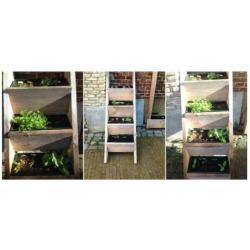 Nieuwe steigerhouten plantenladder