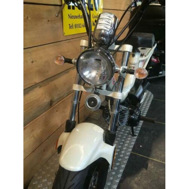 Tomos Youngst'r, slechts 1267 km, voor 799,- incl rijklaar