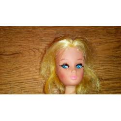 (barbie) pop van Model Toys made in Hong Kong