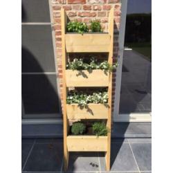 Nieuwe steigerhouten plantenladder