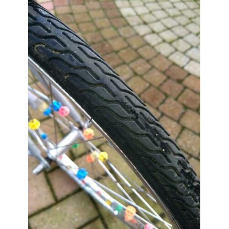 Batavus , the Young dutch