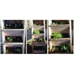 Nieuwe steigerhouten plantenladder