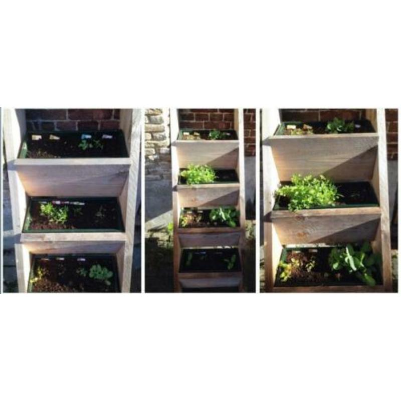 Nieuwe steigerhouten plantenladder
