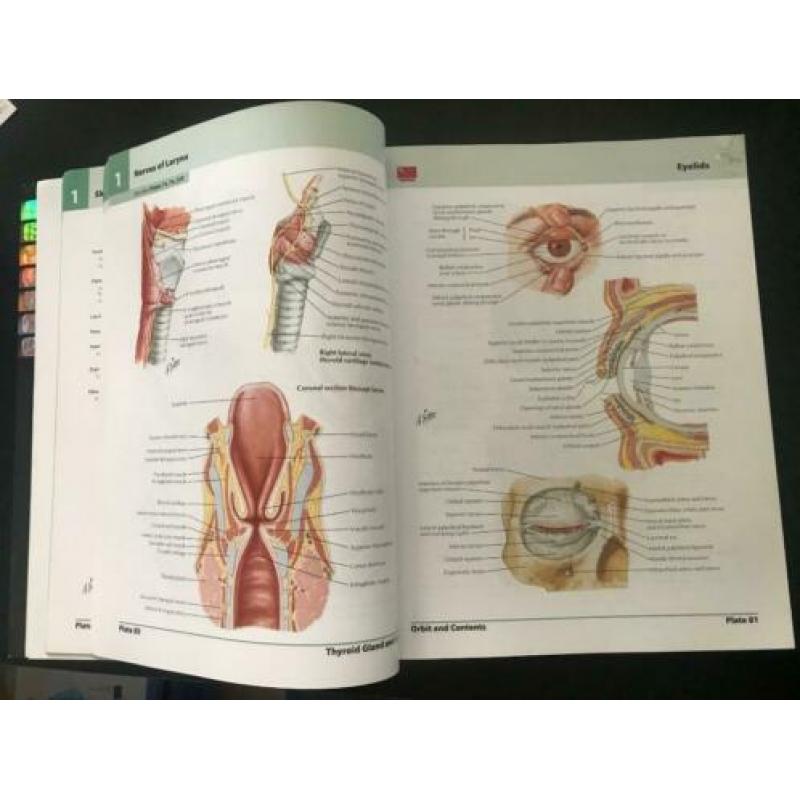 Atlas of human anatomy Netter 5de editie
