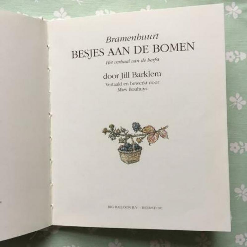 Bramen Buurt Jill Barklem Besjes aan de Bomen