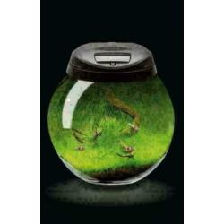 nano cube , nergens goedkoper! diverse merken nano aquaria
