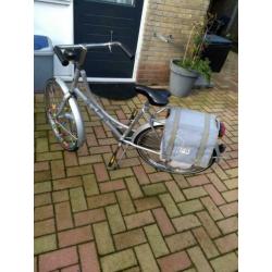 Batavus , the Young dutch
