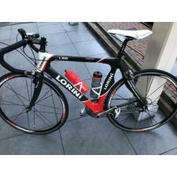 Lorini L86 Carbon