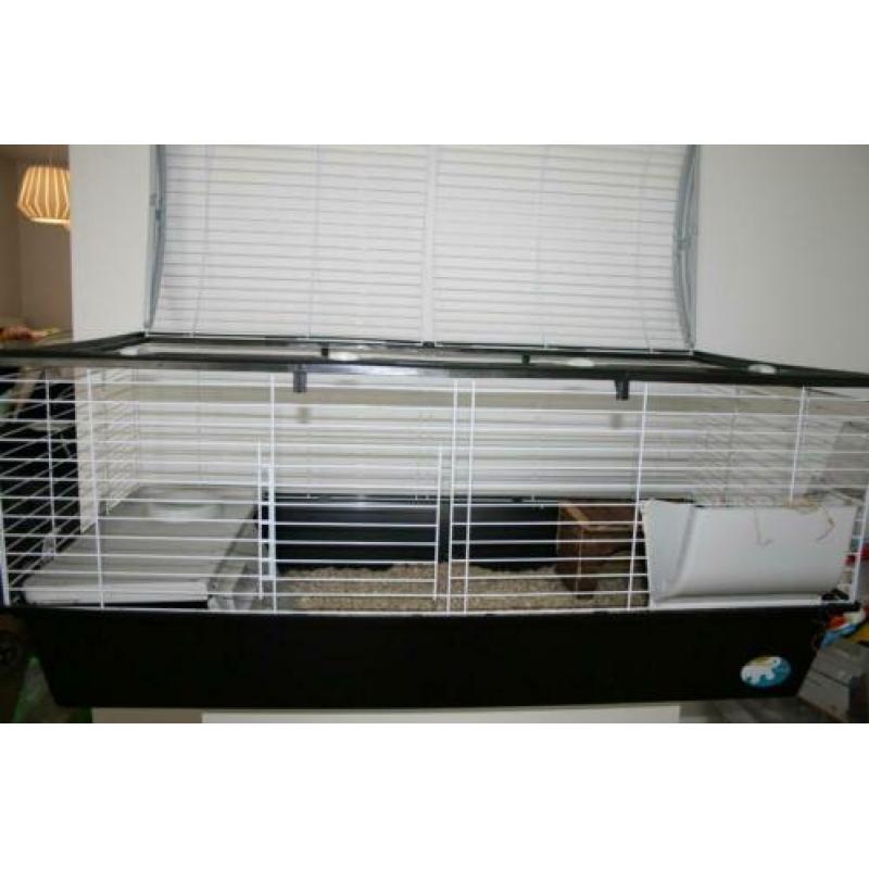 Lieve cavia + kooi