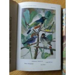 Tropische Voliere Vogels 2 delig- A. Rutgers