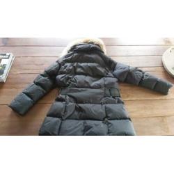 Goldbergh winterjas zwart maat 44/46