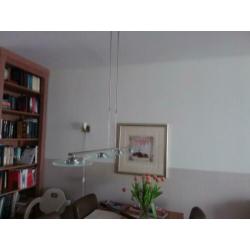Led Hanglamp rvs met glas,dimbaar