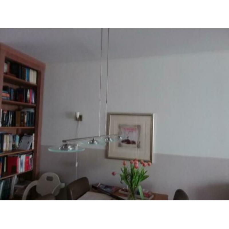 Led Hanglamp rvs met glas,dimbaar
