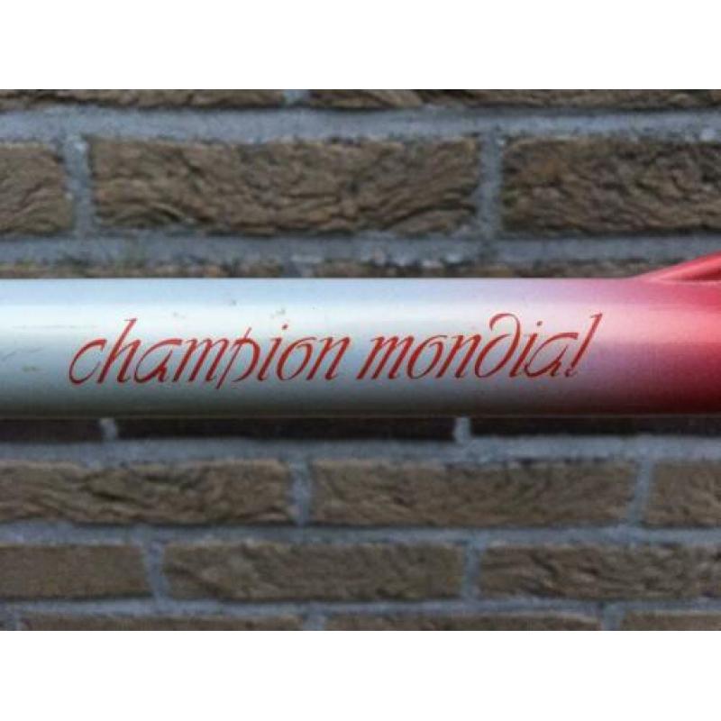 Racefiets Gazelle Champion Mondial AA special frame (UNIEK!)