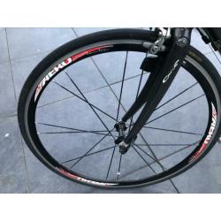 Lorini L86 Carbon