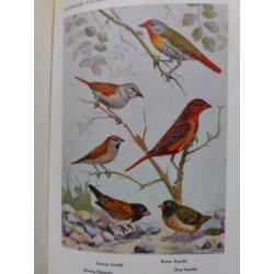 Tropische Voliere Vogels 2 delig- A. Rutgers