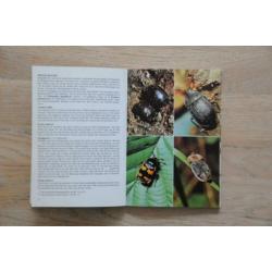 Kevers jeugd editie Thieme insecten 96 kevers in kleur