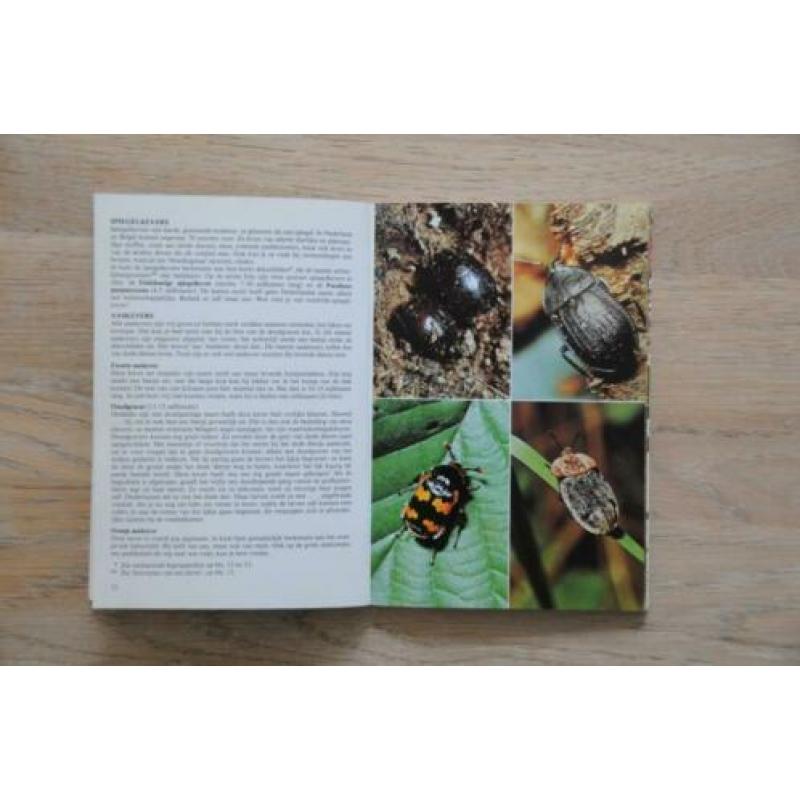 Kevers jeugd editie Thieme insecten 96 kevers in kleur