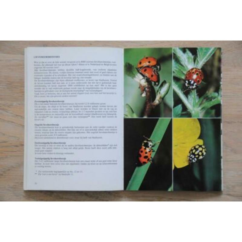 Kevers jeugd editie Thieme insecten 96 kevers in kleur