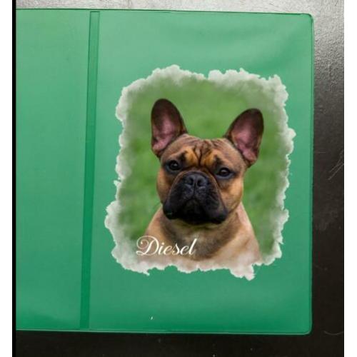Bulldog hoesje met eigen foto voor enting boekje