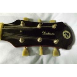 harley benton , electrische gitaar type les paul