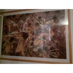 elfenposter in houten lijst met plexiglas bxh=1.74×1.04