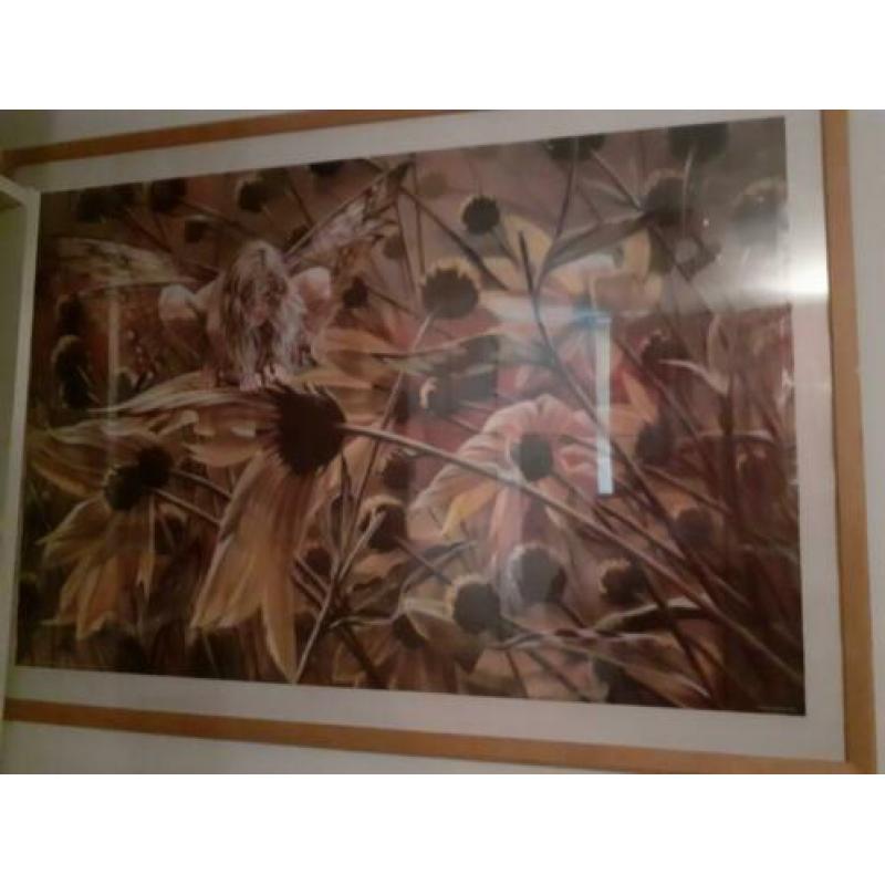 elfenposter in houten lijst met plexiglas bxh=1.74×1.04