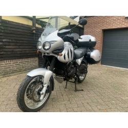 Triumph tiger 955i 955 allroad