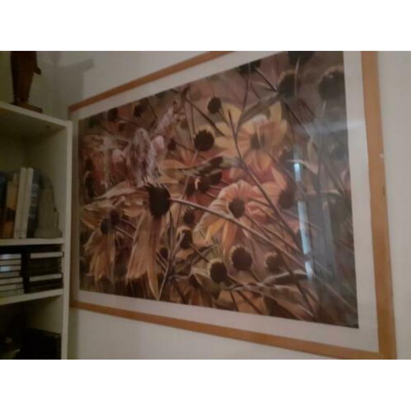 elfenposter in houten lijst met plexiglas bxh=1.74×1.04