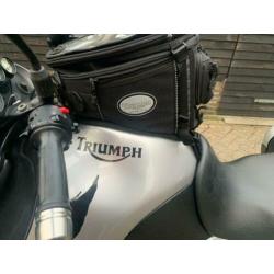 Triumph tiger 955i 955 allroad