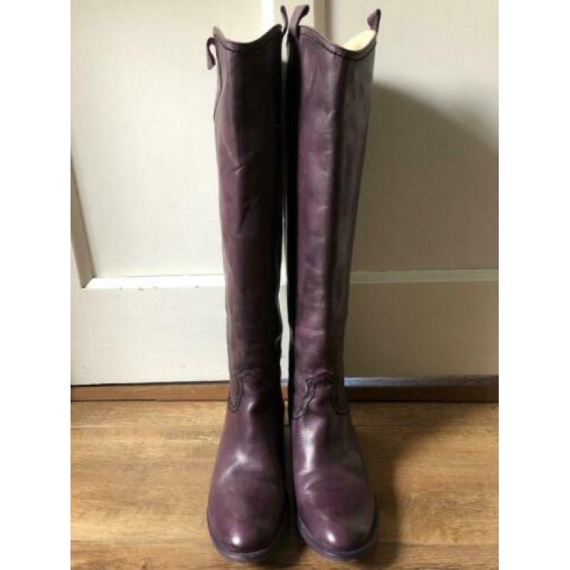 Pocoloco paarse hoge laars mt 37