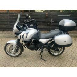 Triumph tiger 955i 955 allroad