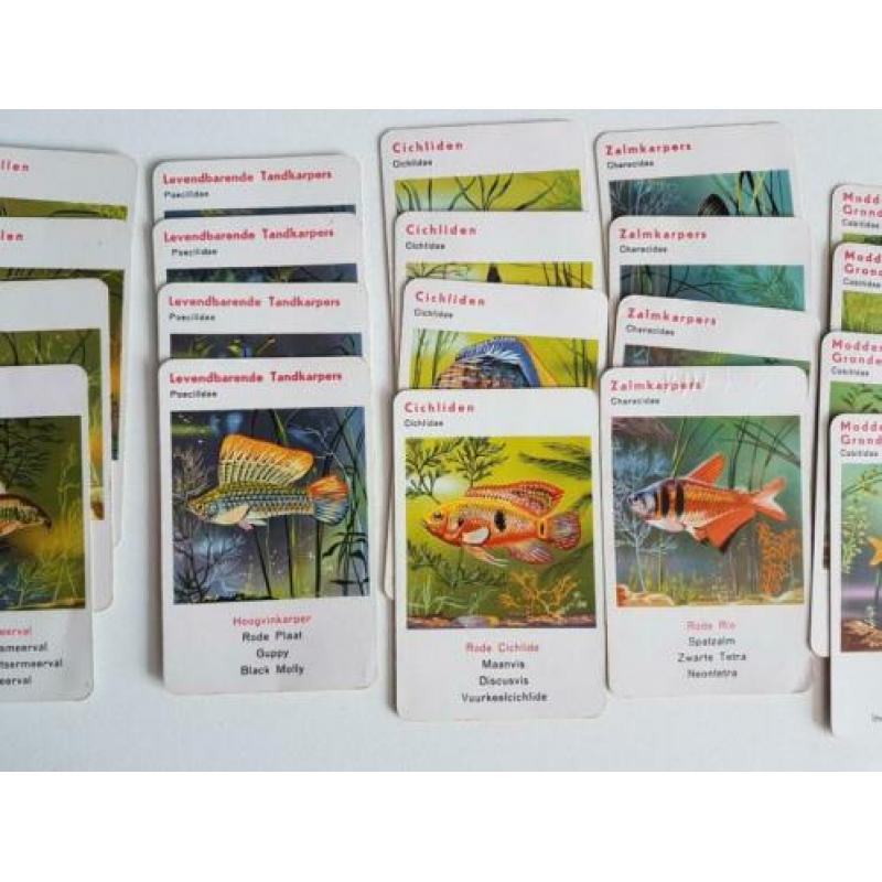 oud Jumbo aquariumkwartet met 36 kaarten, no. 2