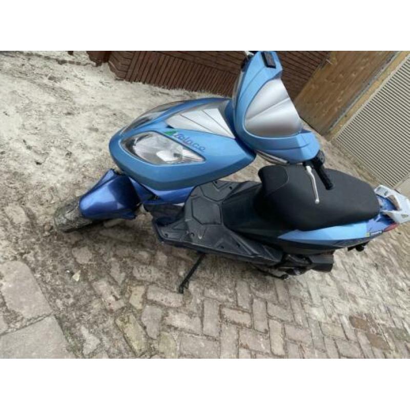 Beeline snor scooter start niet !