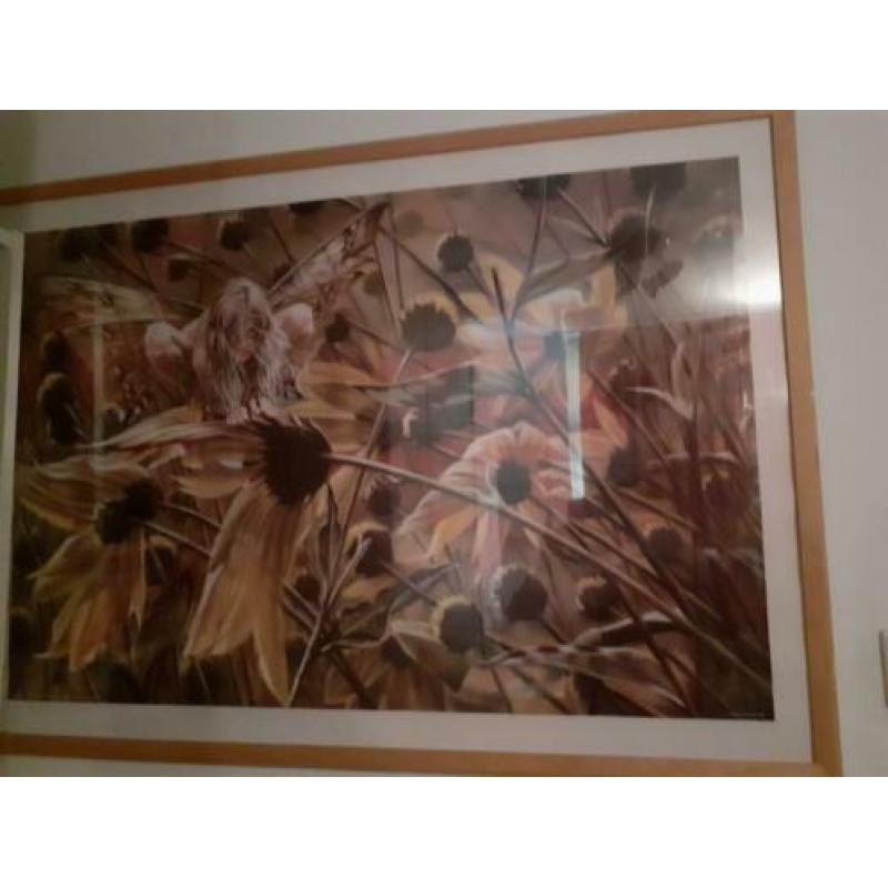 elfenposter in houten lijst met plexiglas bxh=1.74×1.04