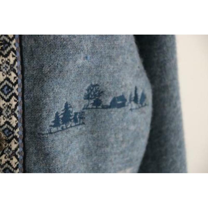 Vintage Woolrich vest licht blauw wol trui retro maat 42 40