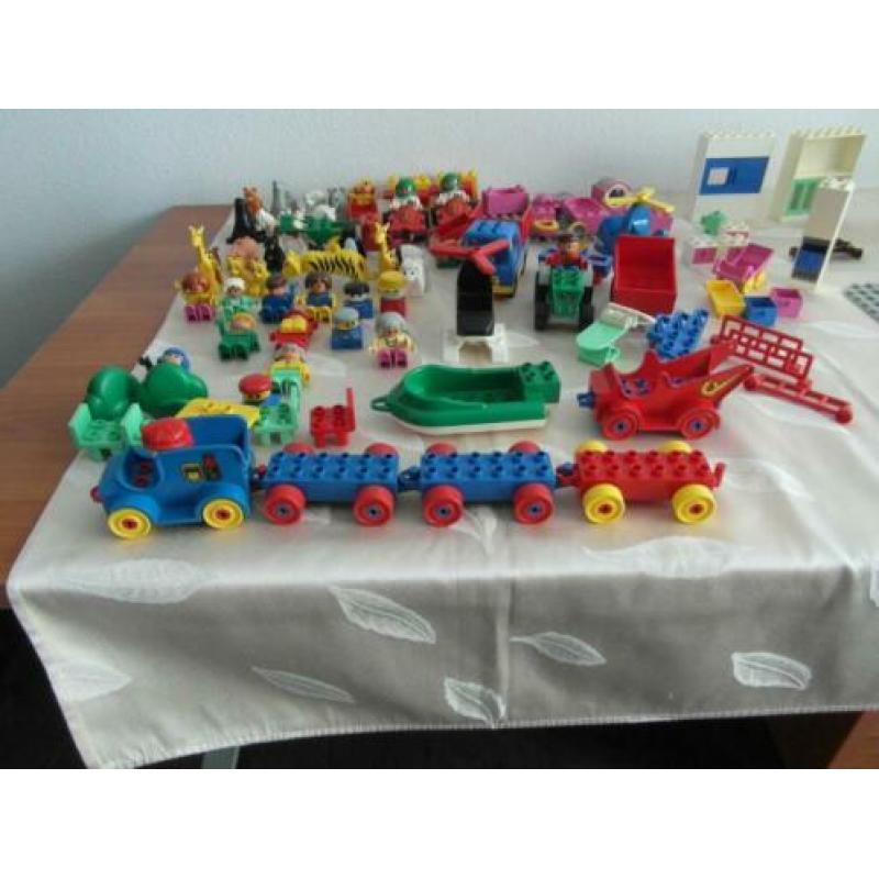 Groot assortiment DUPLO