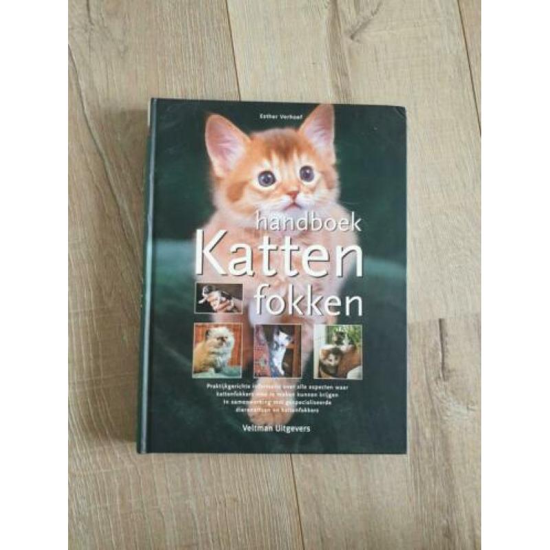 Compleet pakket voor nestje kittens