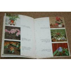 Het stekken van planten in huis en tuin !!