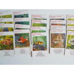 oud Jumbo aquariumkwartet met 36 kaarten, no. 2