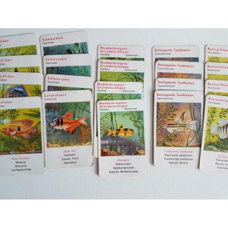 oud Jumbo aquariumkwartet met 36 kaarten, no. 2