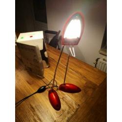 Design lamp bureaulamp MR Jim philippe Michel ZGAN