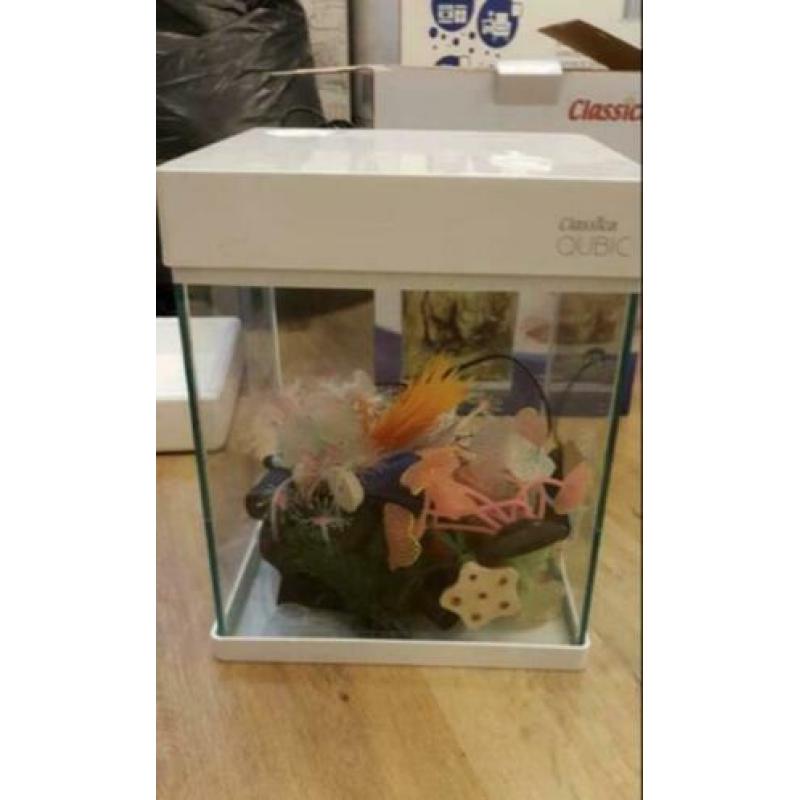 Classica Qubic 2 LED nano aquarium 17L + veel kunstplantjes!