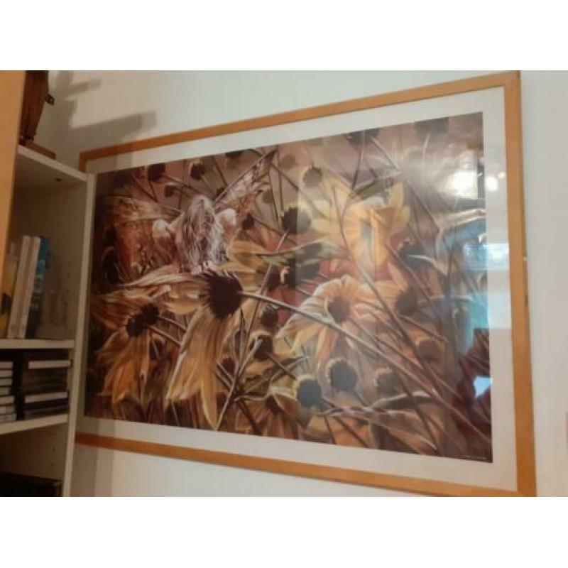 elfenposter in houten lijst met plexiglas bxh=1.74×1.04