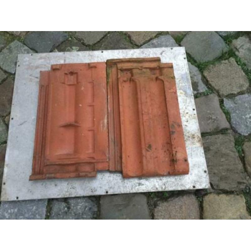 Vlakke muldendakpannen Roode
