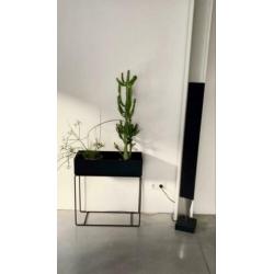 Beolab 8000 set