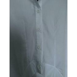 10days smoking shirt poplin