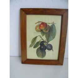 Schilderij De Mille Fruit